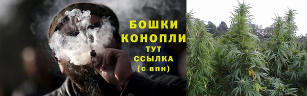 apvp Бердск
