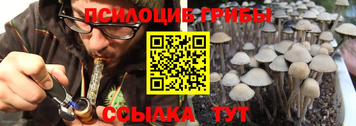 Псилоцибиновые грибы Magic Shrooms  дарнет шоп  Тейково 