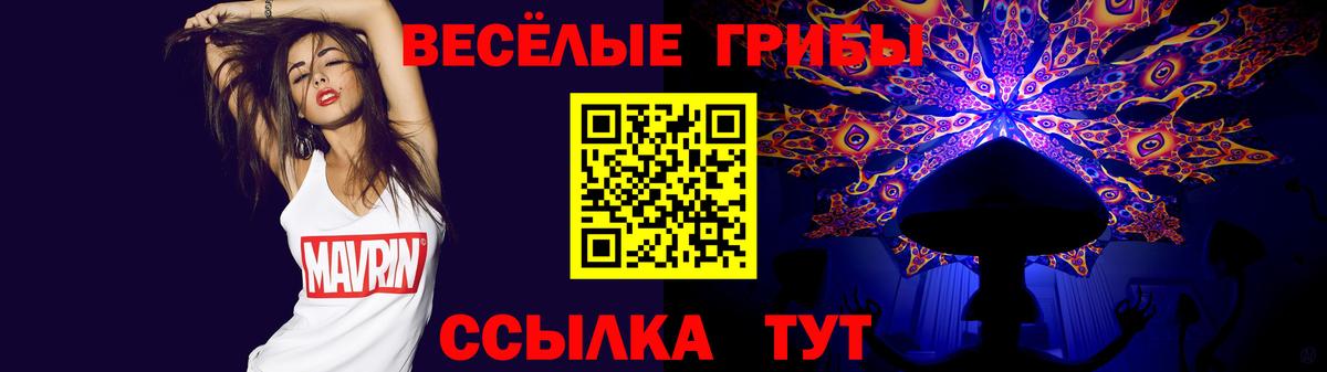 Тейково  Псилоцибиновые грибы GOLDEN TEACHER  купить наркотики сайты  Вход с VPN 