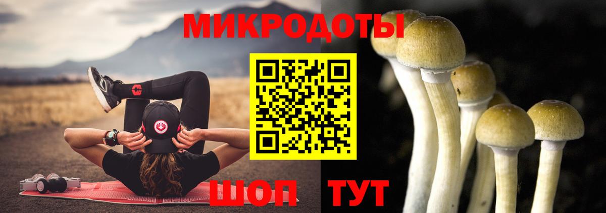 Псилоцибиновые грибы GOLDEN TEACHER Тейково
